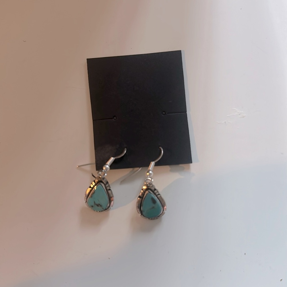 Turquoise earrings from Monticello UT new